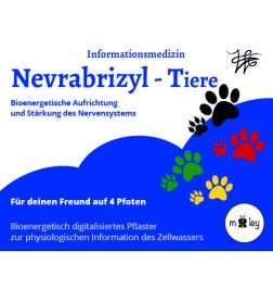 Nevrabrizyl-T  Bioenergetische Aufrichtung des Nervensystems